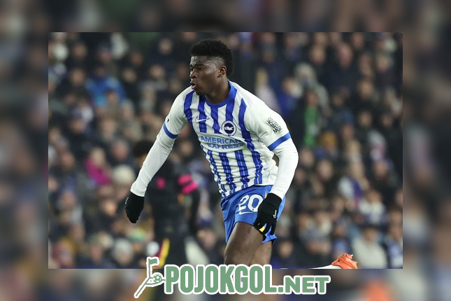 Carlos Baleba, sosok gelandang andalan Brighton